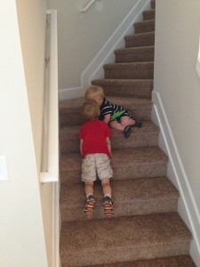 Champ and Deakan playing around on the new stairs.